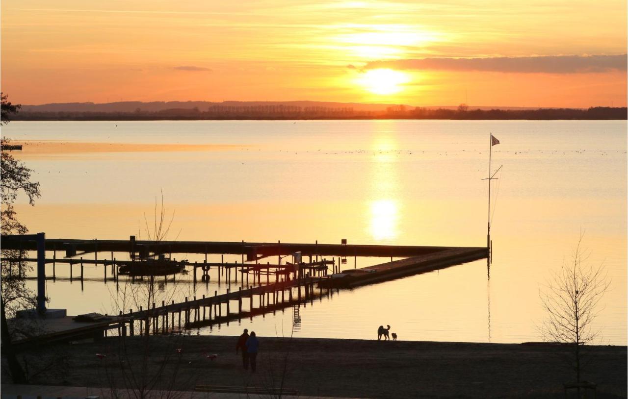 Nice Home In Lembruch-Duemmer See With Sauna 외부 사진